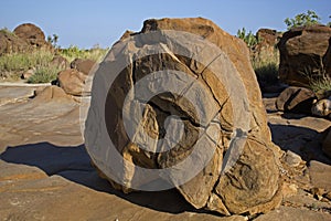 KUTCHCHH FOSSIL PARK, GUJARAT photo